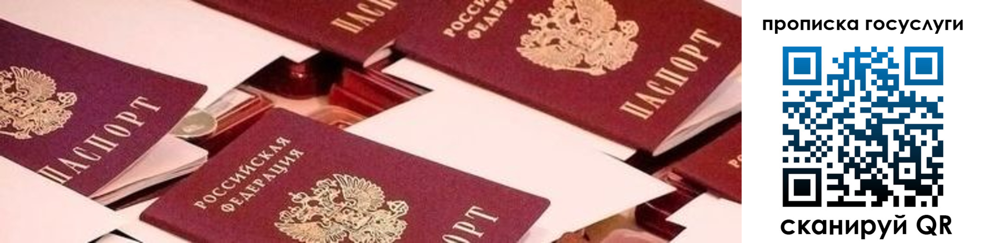 регистрация в Сунже